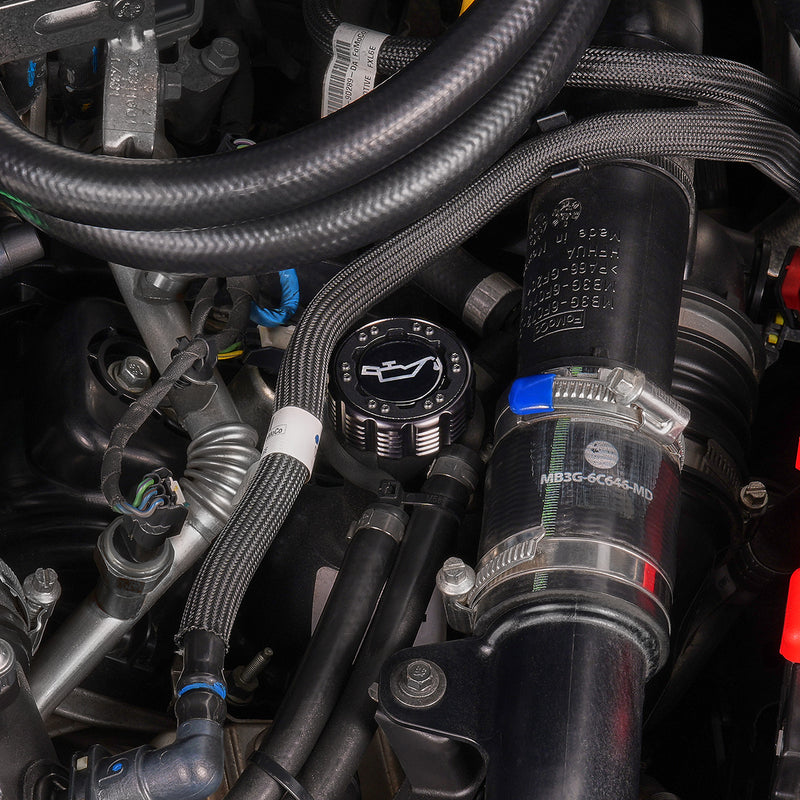 Beadlock Oil Cap w/ Black Ring 21+ Bronco, 15+ F-150, 19+ Ranger, 22+ Maverick - IAG-ACC-F1090BKBK image 13