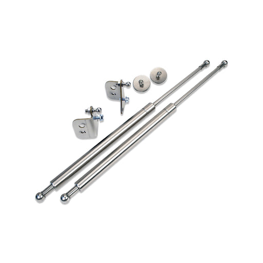 EZ-Lift Hood Struts - Silver - IAG-BDY-F1002SL