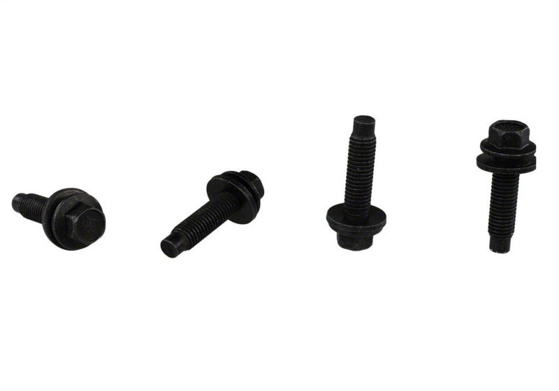 Ford Racing Bead Lock Ring Kit | Ford Ranger (19-26) (M-1021K-BL1)
