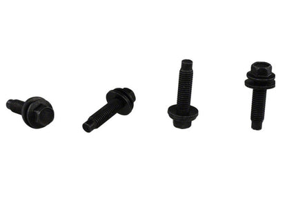 Ford Racing Bead Lock Ring Kit | Ford Ranger (19-26) (M-1021K-BL1)