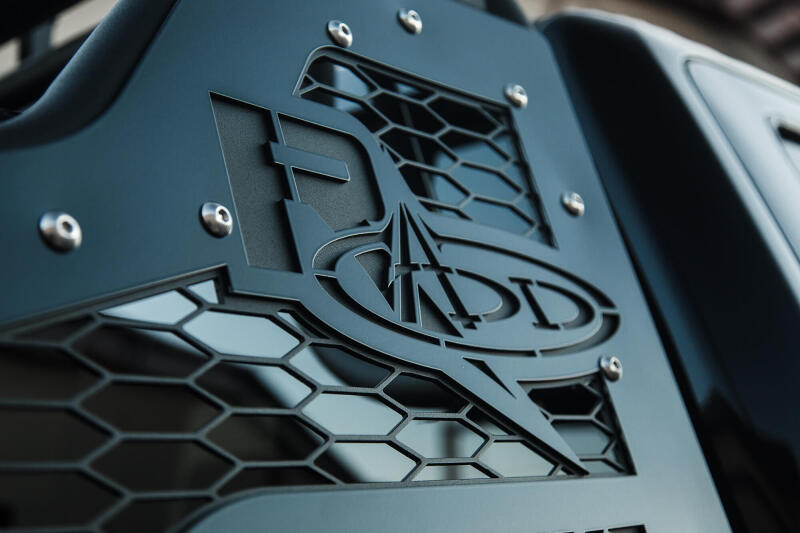 Addictive Desert Designs Race Series Chase Rack w/ 2017 Grill Pattern | Ford F-150 Raptor (17-18) (C115802800103)