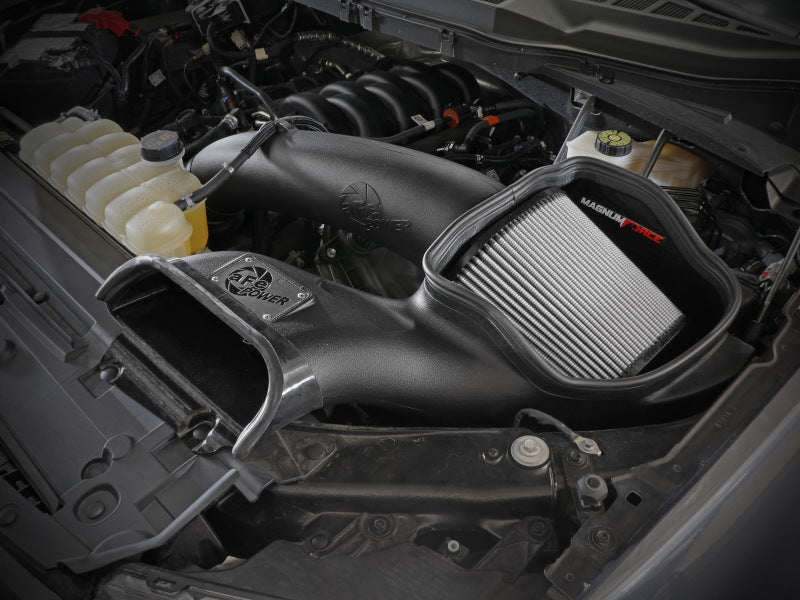 aFe POWER Magnum FORCE Stage-2 Pro DRY S Intake | Ford F150 5.0L V8 (21-21) (54-13064D)