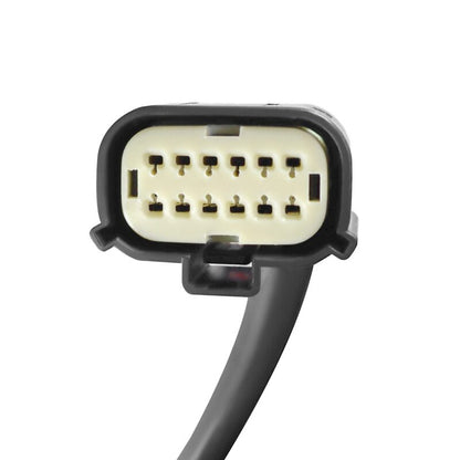 AlphaRex LUXX LED Tail Lights (Alpha-Black): Ram 1500 2019 - 2024