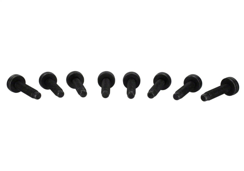Ford Racing Bronco Tube Door Replacement Grab Handle | Ford Bronco (21-26) (M-19008-BTDG)