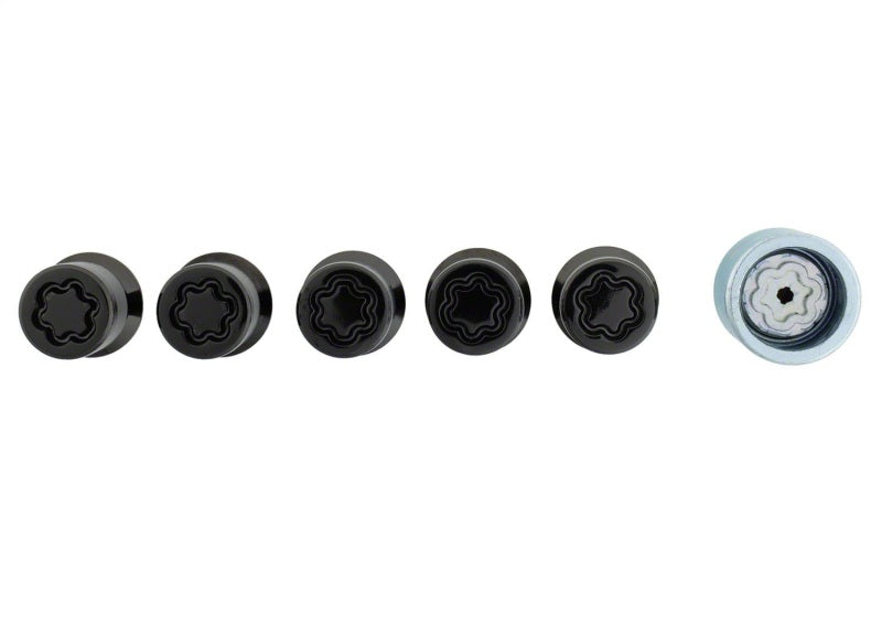 Ford Racing M12X1.5 Black Security Lug Nut Set | Ford Bronco (21-26) (M-1A043-B5)