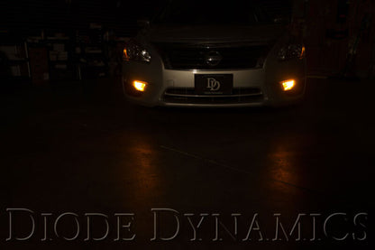 Diode Dynamics 7443 LED Bulb HP11 Amber | Ford Ranger (19-26) (DD0107P)