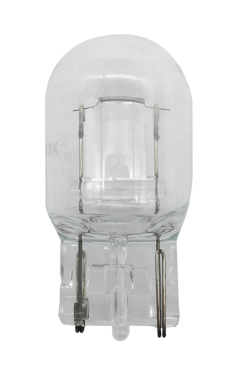 Hella 7440 12V 21W Bulb | Ford Ranger (19-26) (7440)