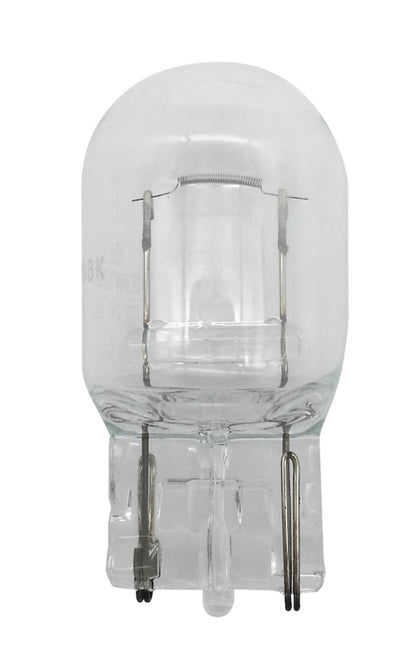 Hella 7440 12V 21W Bulb | Ford Ranger (19-26) (7440)