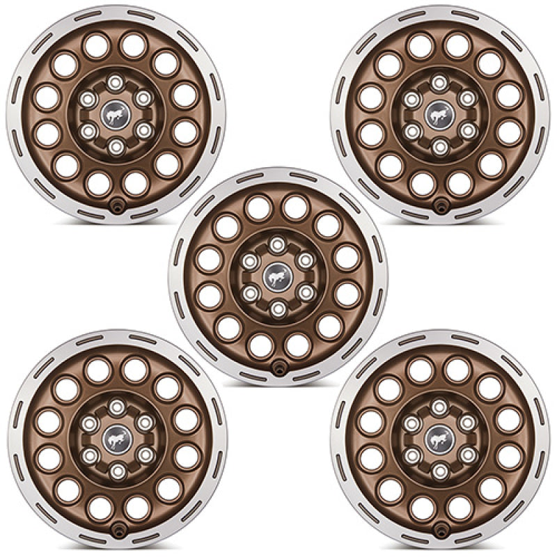 Ford Racing 17x8.0 Wheel Kit | Ford Bronco (21-26) (M-1007K-P1780BRN)