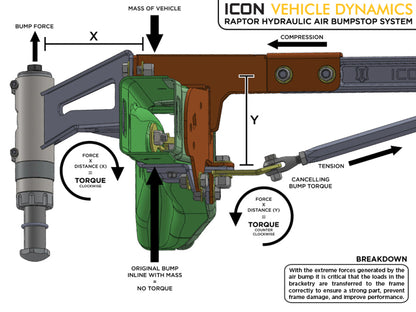 ICON 10-14 Ford Raptor Rear Hyd Bump Stop Kit | Ford F-150 Raptor (10-14) (95120)