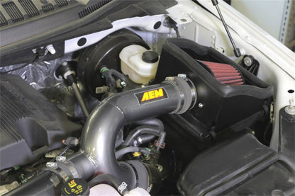 AEM 3.5L V6 Cold Air Intake | Ford F-150 (17-18) (21-8130DC)