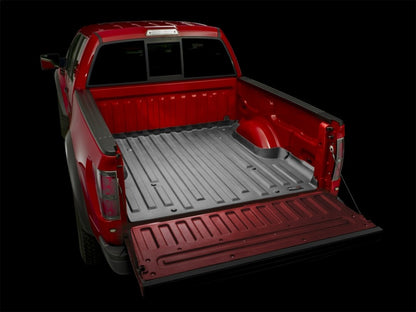 WeatherTech TechLiner | Ford F-150 (04-14) Raptor (36603)