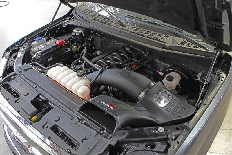 aFe POWER Momentum GT Cold Air Intake System w/ Pro DRY S Filter | Ford F-150 V8 5.0L (15-17) (51-73114)