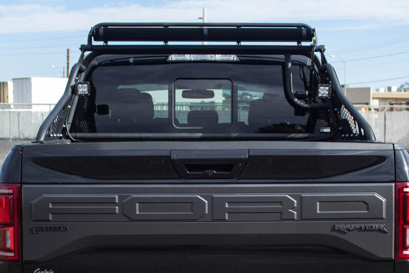 Addictive Desert Designs Race Series Chase Rack w/ 2017 Grill Pattern | Ford F-150 Raptor (17-18) (C115802800103)