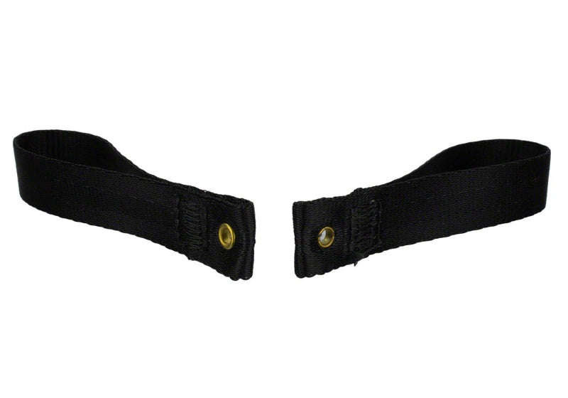 Ford Racing Tube Door Pull Strap | Ford Bronco (21-26) (M-19008-BTDP)