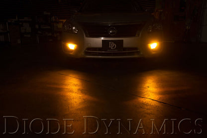 Diode Dynamics 7443 LED XP80 Bulb | Ford Ranger (19-26) (DD0114P)