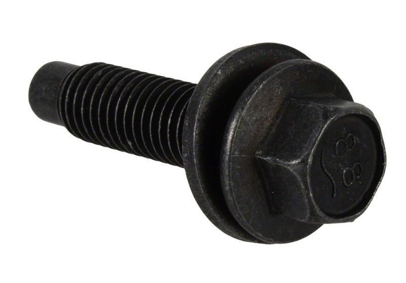 Ford Racing 2019 F-150 Raptor Bead Lock Ring Kit | Ford F-150 (19-26) (M-1021-RA1)