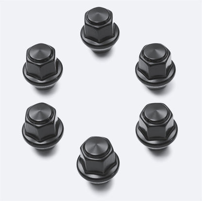 Ford Racing Blackout Kit | Ford Bronco (21-26) (M-1019-BBK)