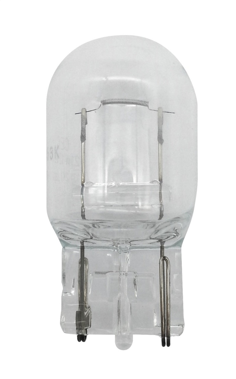 Hella 7440 12V 21W Bulb | Ford Ranger (19-26) (7440)