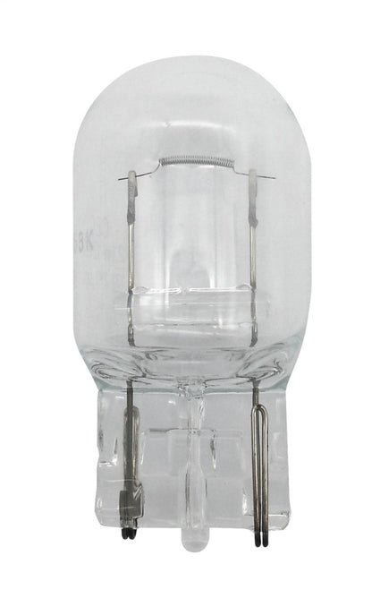 Hella 7440 12V 21W Bulb | Ford Ranger (19-26) (7440)
