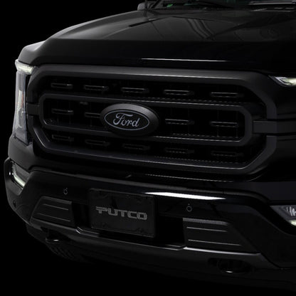 Putco Luminix LED Emblem | Ford F-150 (15-17) / F-150 Raptor (17-20)
