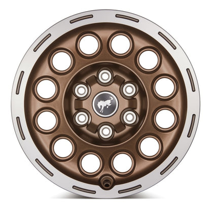 Ford Racing 17x8.0 Wheel Kit | Ford Bronco (21-26) (M-1007K-P1780BRN)