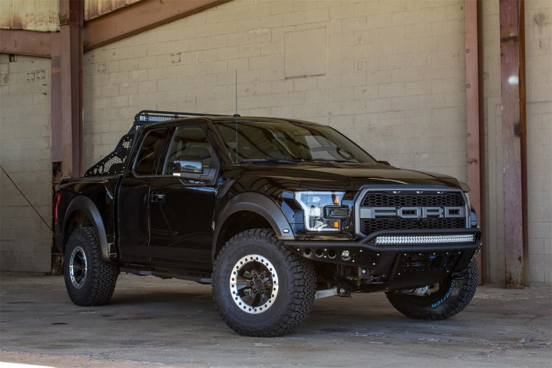 Addictive Desert Designs Race Series Chase Rack w/ 2017 Grill Pattern | Ford F-150 Raptor (17-18) (C115802800103)