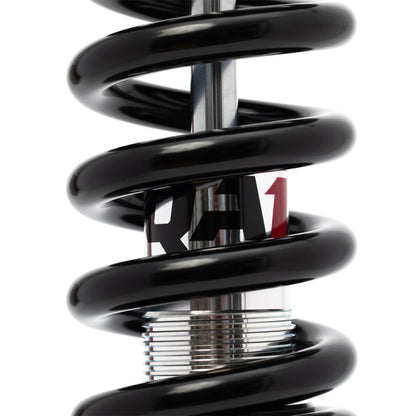 QA1 3.5in-5.5in Lowering Kit | Ford F-150 (15-20) / Raptor (17-20) (LK12-FF02)