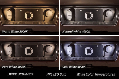 Diode Dynamics 194 LED Bulb HP3 LED Warm - White (Pair) Lights offroad accessory | Iron Ridge Offroad