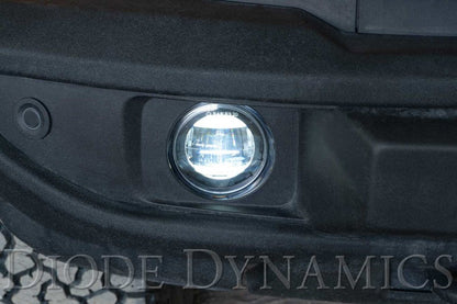 Diode Dynamics Elite Series Type A Fog Lamps - White (Pair) Lights offroad accessory | Iron Ridge Offroad