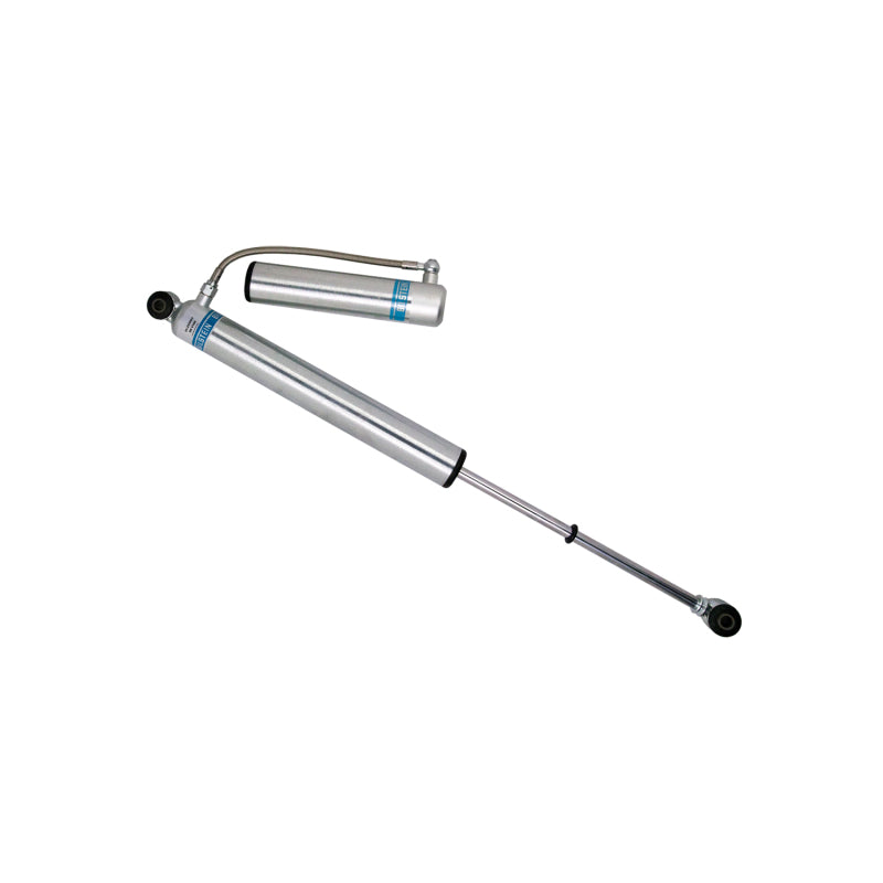 Bilstein 46mm Monotube Rear Shock Absorber | Ford F-150 (09-13) 2WD (25-255003)