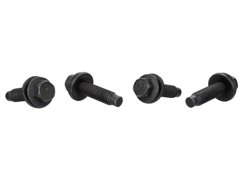 Ford Racing Bead Lock Ring Bolt Kit | Ford Ranger (19-26) / Bronco (21-26) (M-503317K-BOLT)