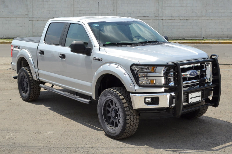 Go Rhino 3000 Series StepGuard | Ford F-150 (97-03) (3363B)