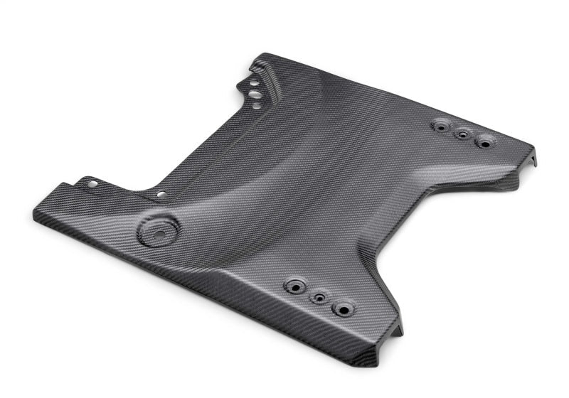 Ford Racing 22 - 24 Ford Bronco Raptor Carbon Fiver Tailgate Applique - Matte Exterior Styling offroad accessory | Iron Ridge Offroad