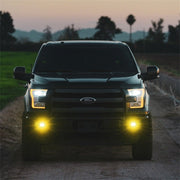 Rigid Industries D - Series SAE Fog Yellow/White Pair Lights offroad accessory | Iron Ridge Offroad
